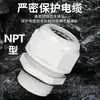 Hongjin Pa66 Nylon Retardante de Chama Ecológico Cabo Trava Nacional Porca Rosca Americana NPT Conector à Prova d'Água Cabeça Dupla