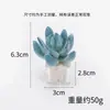Decoración de micro paisajismo, accesorios de plantas suculentas mini simuladas, adornos para escritorio de oficina, decoraciones de plantas en maceta de plástico