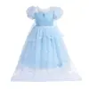2025 Vestido de Princesa Frozen para Niñas Vestido Nuevo de Verano Elsa para Mujer Día del Niño Actuación Vestido de Cumpleaños que Arrastra el Piso