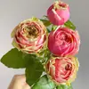 Dropshipping Fruta do Dragão Flor de Corte Grande Buquê Flor de Rosa Mudas Flor de Quatro Estações Rosa Jardim de Varanda Plantas em Vasos