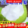 Peras Verdes Dangshan, Peras Corona, Fruta Fresca, Caja Entera con Envío Gratis, Peras Verdes Corona de Temporada, Fragantes y Crujientes, Peras Miel Nieve Temprana