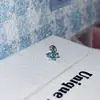Pendientes de Flor de Zirconia Lujosos y Deslumbrantes con Cierre de Rosca para Mujer, con Piedras de Zirconia Verdes y Azules