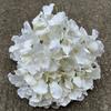 [Hortensia roja de imitación] Nuevo paquete de 5 hortensias del Rin para comercio exterior, hortensias para bodas, flores artificiales al por mayor