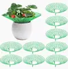 Soporte para Macetas de Fresa Balcón Soporte de Plantación Anti-Corrosión Jardinería Marco de Soporte de Empalme Fijo para Plantar Frutas y Plantas Verdes Bandeja