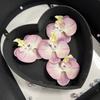 Flor individual de simulación de Phalaenopsis roja de internet peinado Lu Fu regalo de mano caja de dulces 9cm hecho a mano diy accesorios decorativos