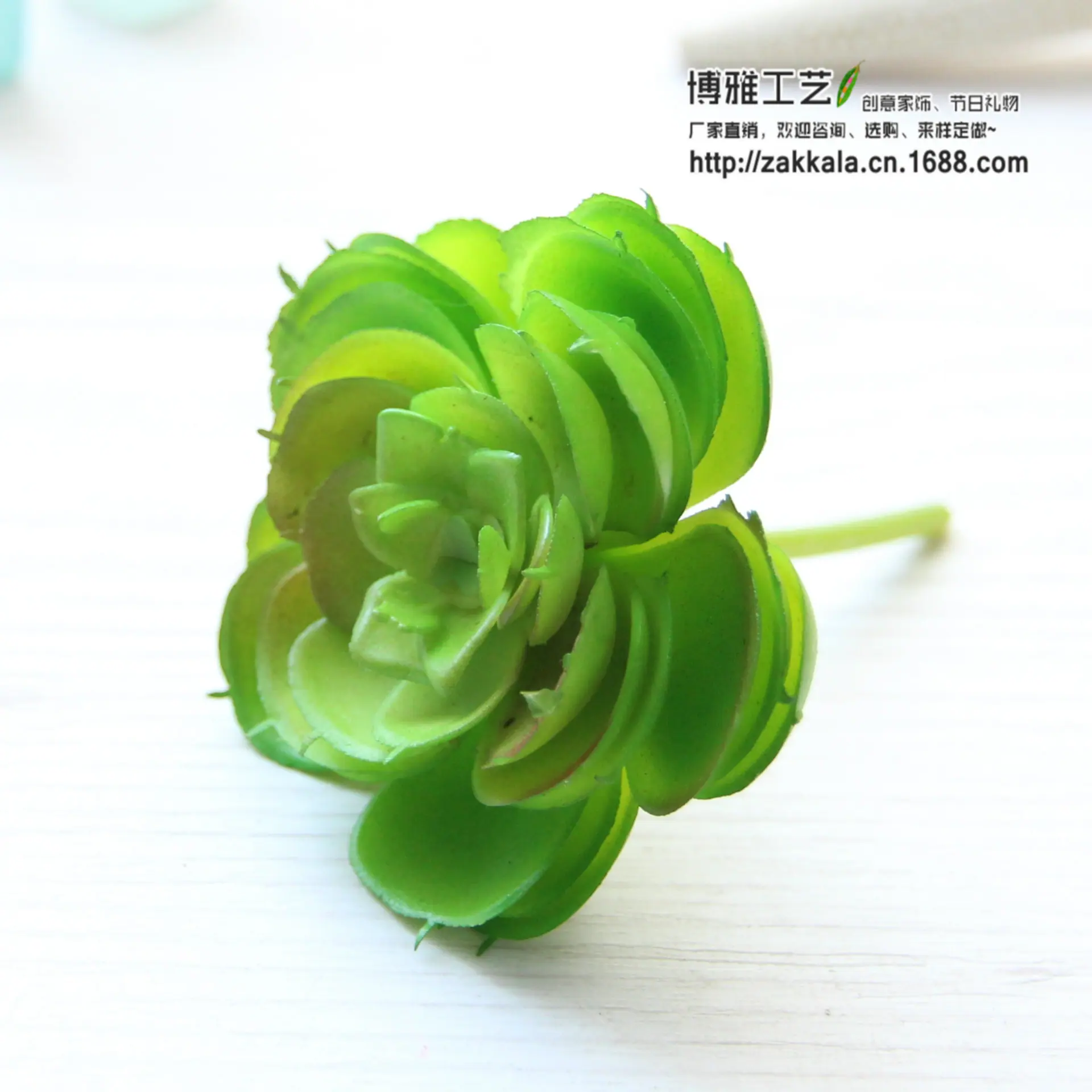 IMG_1951_副本