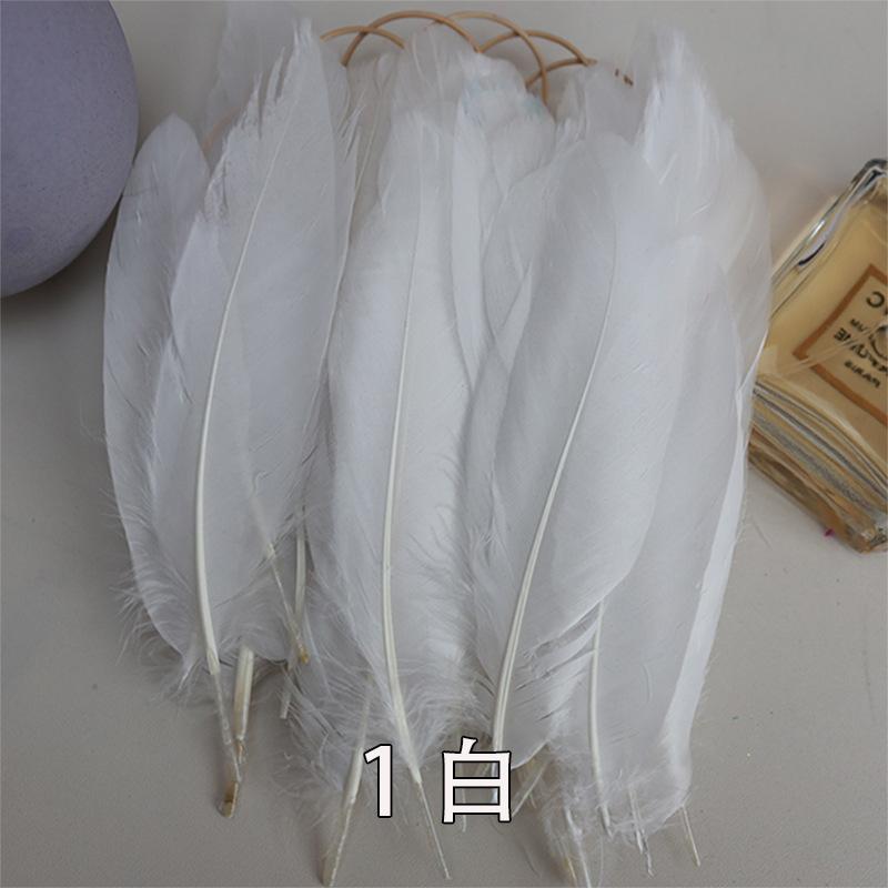 1 白.jpg