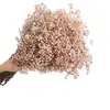 Buquê de Gipsofila Seca Preservada Flores Secas Brancas Flores Reais Secas ao Ar Flores Grandes Decoração de Sala de Estar Arranjo de Flores Flores para Fotografia de Casamento