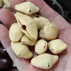 Sinos de Vento de Casca de Fruta Natural, Sinos de Vento de Casca de Fruta DIY Pré-Perfurados, Instrumentos Musicais Curativos, Atacado da Fábrica de Origem