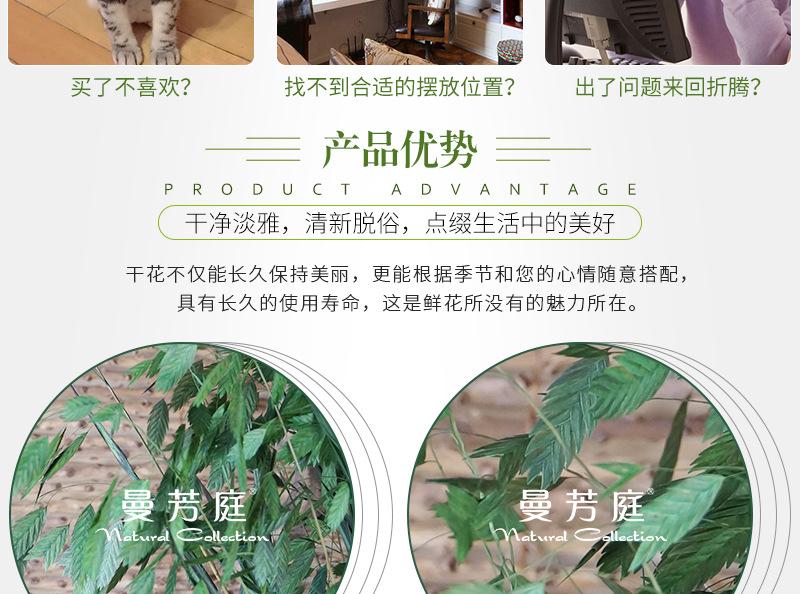 小盼花