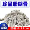Mídia Filtrante de Osso de Coral Natural Pedra de Coral Material Filtrante para Aquário Purificar Qualidade da Água Aquapaisagismo Cultivar Bactérias Estabilizar Valor de pH