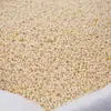 Mijo Blanco, Gachas de Mijo Fragantes y Suaves, Granos Gruesos Blancos Pegajosos, Cereales Cultivados en Granjas, Soporta Dropshipping, Venta al por Mayor y al por Menor