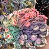 Nueva Banda de Goma Estilo Coreano Banda de Goma Anudada con Dos Múltiples Bandas de Goma de Alta Elasticidad Estilos Mixtos Lote Mixto Regalos Regalos Pequeños Exportación