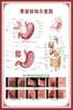 Diagrama de Estructura Corporal Comercial Detallado Estructura de Diseño de Esqueleto Humano Diagrama Estructural Póster Diagrama de la Columna Vertebral Diagrama Muscular Imagen para Colgar