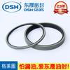 Anillo Giratorio de Rejilla al por Mayor Dongsheng Agujero con Anillo de Rejilla de Sello de Aceite Hidráulico de Politetrafluoroetileno en Stock