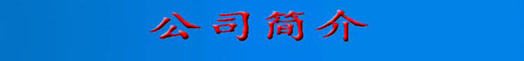 公司简介