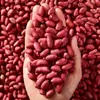 Gran Venta de Cacahuetes Rojos del Noreste de 2.5 kg, Cosecha Fresca de Granja de 25 Años, Sin Cáscara, Cuatro Granos Rojos, Cacahuetes Rojos Pequeños Frescos