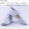 Sapatos de Artes Marciais Coreanos, Sapatos de Tai Chi, Sapatos de Treinamento Indoor para Performance de Taekwondo, Sapatos para Exercício Matinal de Kung Fu