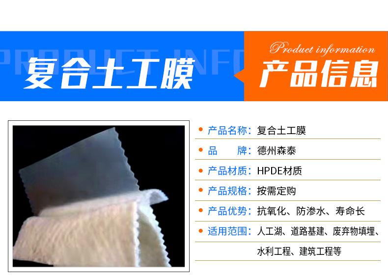 复合土工膜后_05.jpg