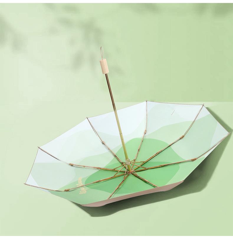 雨伞