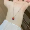 Collar Casual y Exquisito de Plata 925 con Grano de Café con Goteo de Aceite para Mujer, Lujo Accesible Cadena de Clavícula Tirable de Gama Alta de Nicho