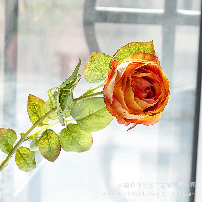 单支复古英国玫瑰