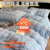 Ropa de cama de cuatro piezas de terciopelo de leche con pelo de conejo, tamaño matrimonial, para otoño e invierno, franela, forro polar de doble cara, sábana de cama de forro polar coral, funda de edredón