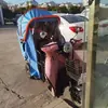Toldo para Triciclo Refugio de Lluvia Parasol Triciclo Plegable Carro de Pedales para Personas Mayores Metabo
