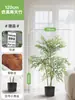 Planta Artificial Nandina de Alta Gama Estilo Lujo Ligero Maceta Decoración para Sala de Estar Interior Adorno de Pie Árbol Falso Biomorfo