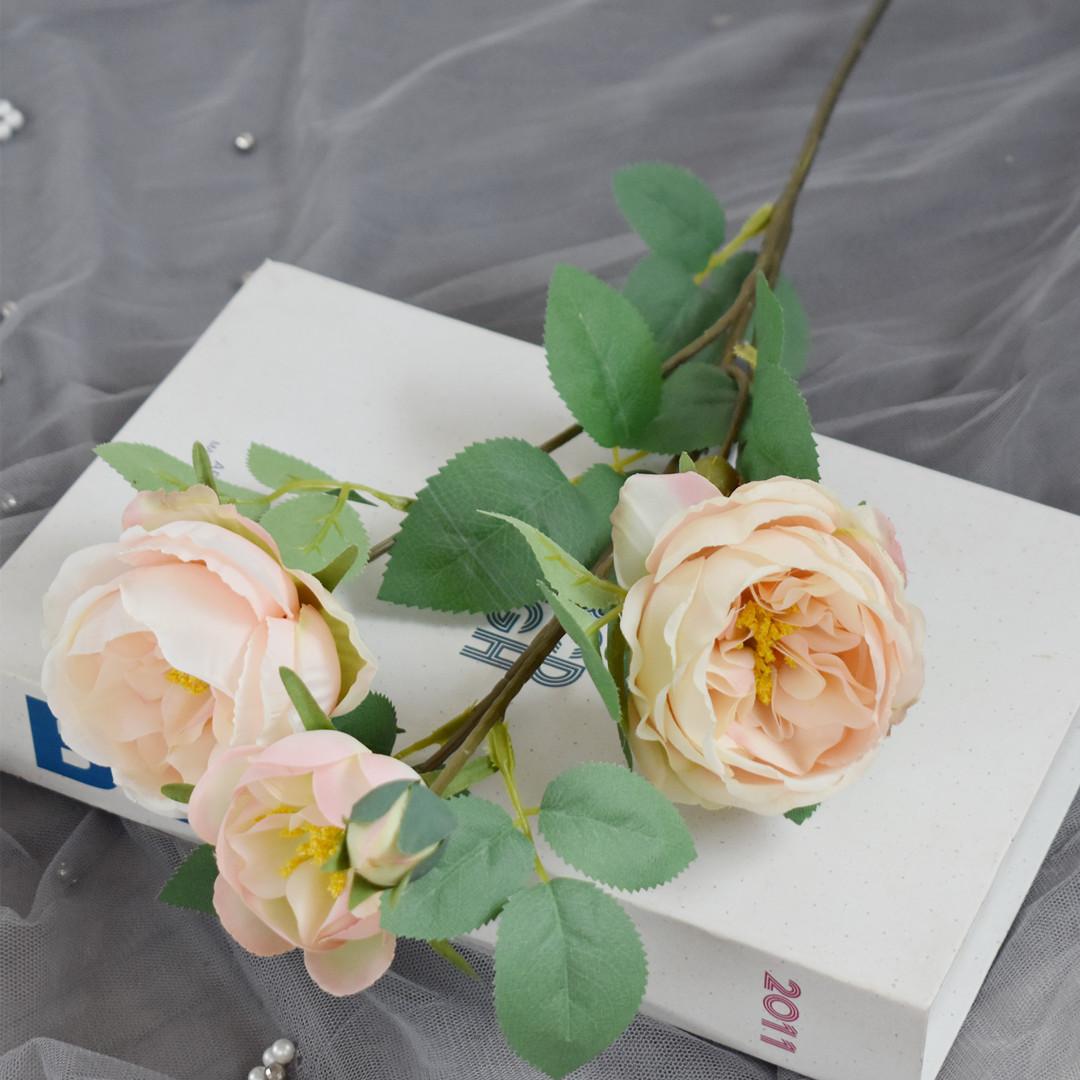 奥斯丁玫瑰香槟色