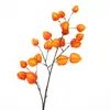 Decoraciones de Año Nuevo, Arreglos de Frutas y Flores de Linterna Artificiales, Frutas de la Fortuna Festivas, Frutas de Espuma para Sala de Estar Mesa de Comedor, Flores Artificiales, Accesorios para Fotografía