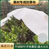Tela No Tejida para Protección de Cítricos Contra el Frío en la Región de Sichuan, Uso Agrícola y de Paisajismo, Protección contra Heladas, Conservación del Calor, Polipropileno PP Impermeable