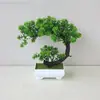 Maceta Artificial Macetas con Plantas Verdes Simulación Mini Plantas Pequeñas Macetas con Plantas Verdes Exhibición Sala de Estar Interior Bonsái Decoración Adornos de Flores