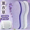 Hielo-Sensation Verano Unisex Deportivo Cómodo Transpirable Suave Elástico Plantilla Hielo-Sensation Fresco Absorbente de Sudor y Desodorante Negocios Trabajo