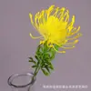 Casa de casamento flor de simulação de plástico flor de almofada de alfinetes de simulação única flor de império sul-africana flor artificial fornecimento