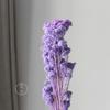 Flores de Mijo Conservadas Blancas, Flores de Mijo Secas, Venta al por Mayor desde Fabricante, Materiales para Uñas Hechas a Mano DIY