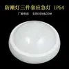 Luz de teto LED de emergência à prova de umidade IP54 luz de pão de três peças luz de emergência pode atender ao novo ErP Novo EMC