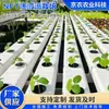 Invernadero NFT de Cultivo Hidropónico Tubo de Cultivo Equipo de Cultivo sin Suelo Tubo Redondo Cuadrado de PVC Canaleta para Plantar Verduras Canaleta Hidropónica