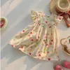 Ropa de Verano para Niños 2026 Vestido de Niña Colorido con Corazones y Mangas Abullonadas Dulce Lindo Vestido de Princesa para Bebé Falda para Niños