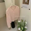 Suéter de Punto Calado de Encaje Pequeño, Suave y Lindo para Mujer, Estilo Coreano de Primavera, Top de Color Sólido Simple con Mangas Largas