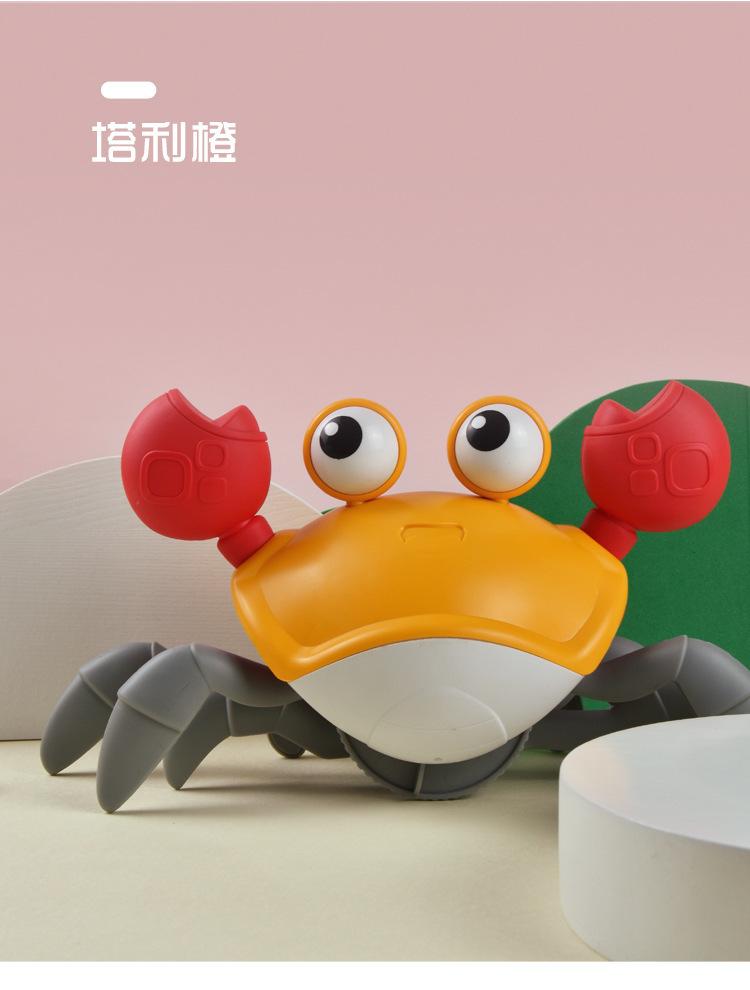 水陆螃蟹