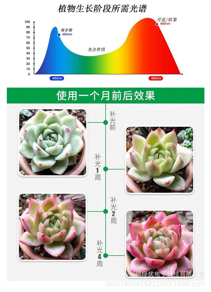 植物生长灯双头_09.jpg