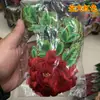 Material DIY acessórios de performance para roupas patch de tecido bordado flor de peônia quente floral aplique de cheongsam 3861# quente floral