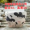 Jingdezhen Tanque Grande de Agua Tanque de Nenúfar Maceta de Loto Árbol de Hierro Árbol Bonsái Maceta para Plantar Flores Extra Grande Patio Sala de Estar Cerámica