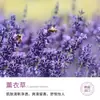 Jabón de Esencia de Lufa Lavanda Image Beauty Jabón Artesanal de Aceite Esencial Jabón de Baño Limpiador de Sal Marina Venta al por Mayor