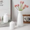 Artesanías de Jarrón de Plástico Negro, Flores Secas Hechas a Mano Simples, Textura Mate, Estilo Europeo Creativo, Estilo Zen Mediterráneo Retro