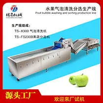 水果气泡清洗分选生产线.jpg