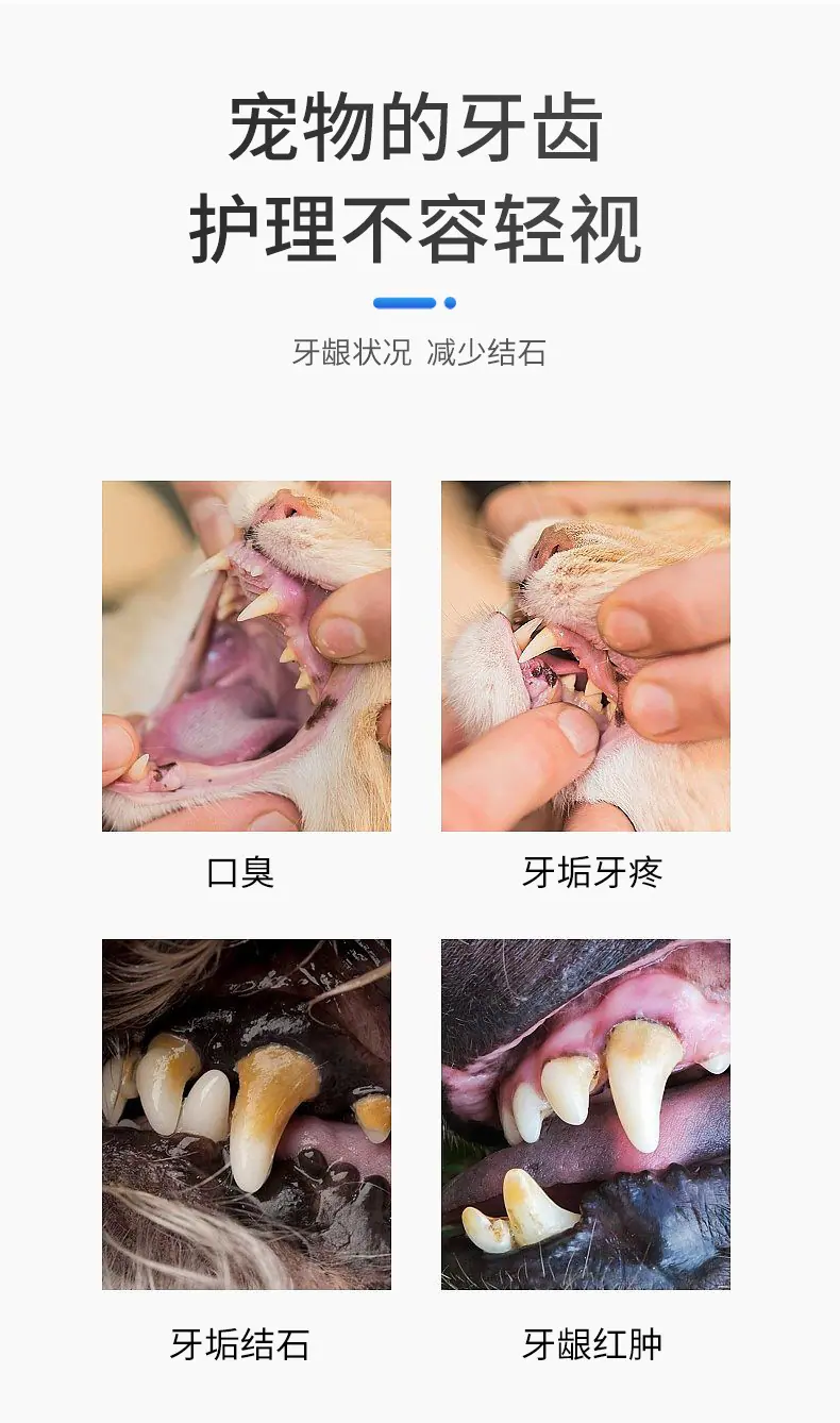 123详情_02.jpg