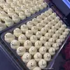 Estilo Igual a Xiaohongshu Juguete Grande de Pollo Masticable para Alivio del Estrés Descompresión TPR Material Ecológico Rebote Lento Juguete de Ventilación