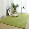 Tapete de Veludo Coral, Pelo Curto, Cobertura Total para Quarto, Lateral de Cama Tatami, Janela de Canto da Sala, Tapete de Chão Peludo, Tapete Doméstico Emendado